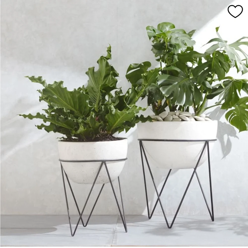 West Elm Iris Planters with Stand-New